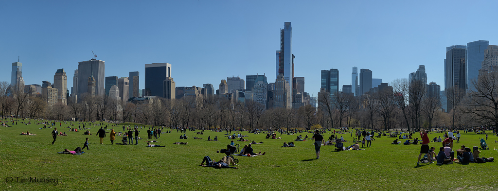 Central Park Panorama